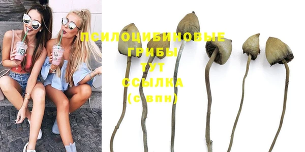 PSILOCYBIN Алзамай