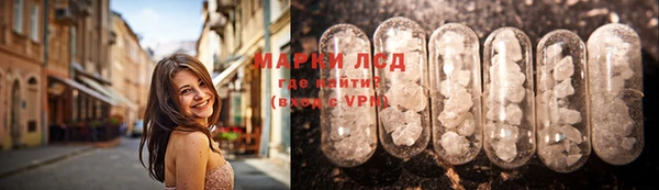 PSILOCYBIN Алзамай