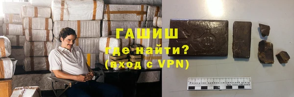 PSILOCYBIN Алзамай