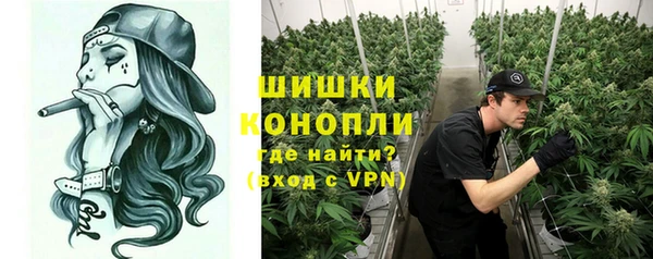 PSILOCYBIN Алзамай