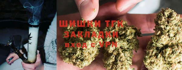PSILOCYBIN Алзамай