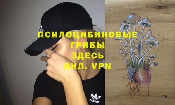 apvp Алексин