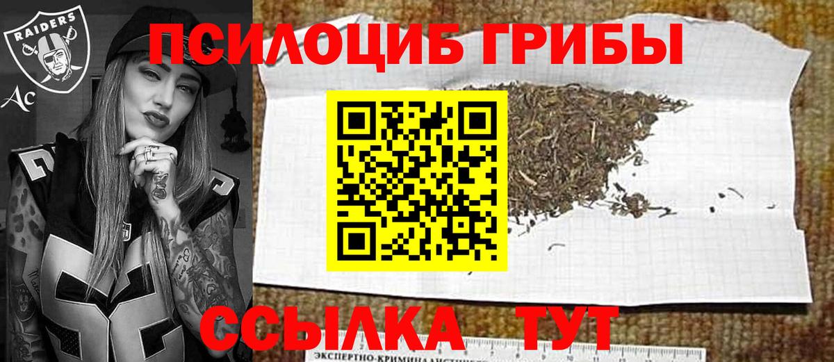 Псилоцибиновые грибы Psilocybine cubensis  Псилоцибиновые грибы Psilocybine cubensis  Вход с VPN  дарнет шоп  Чапаевск 